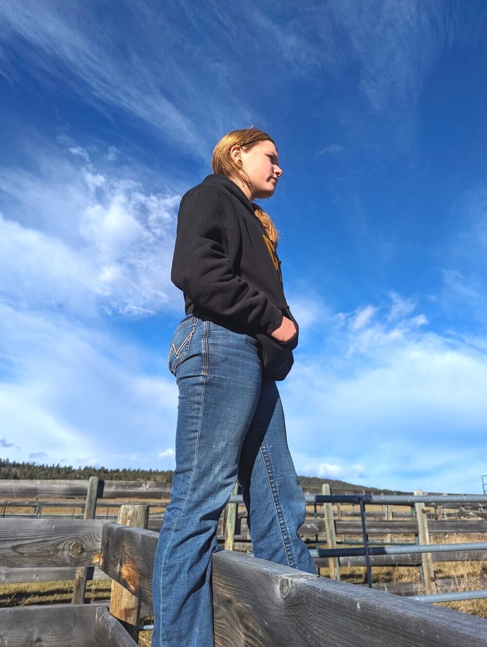 On the corral fence at the ranch